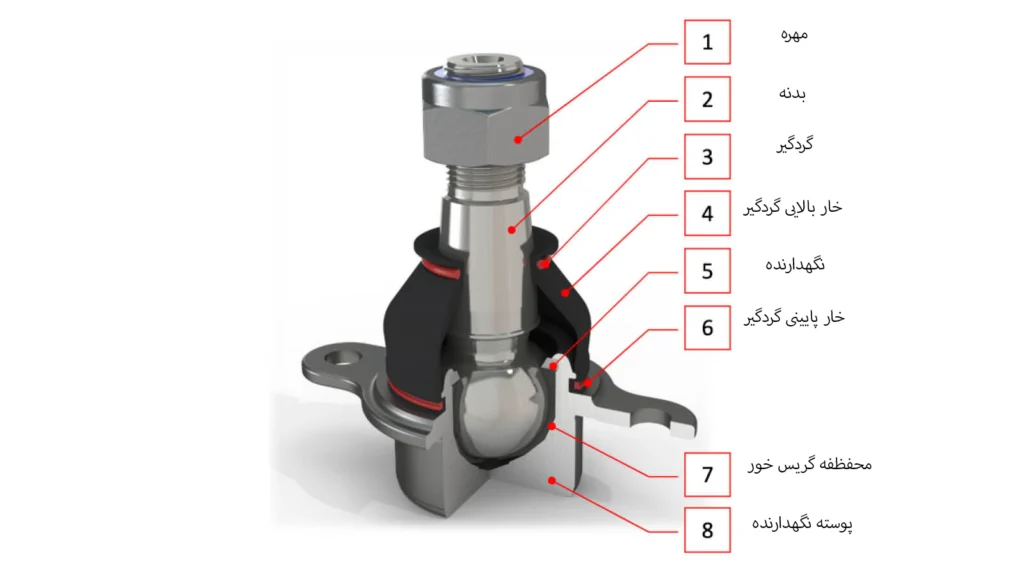 سیبک برش خورده جهت درک بهتر اجزای داخلی آن